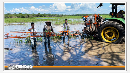 CAMPAÑA “ELIMINEMOS LAS CUNETAS”